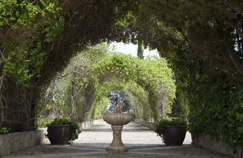 Finca Sa Garriga Binissalem Bagian luar foto